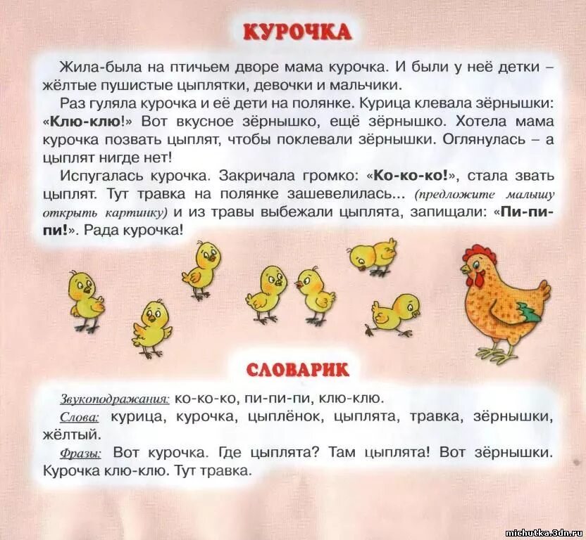 домашние птицы курица. клюющие курочки. блюда из курицы рецепты с описанием. куры слово. доклад про курицу домашнее животное.