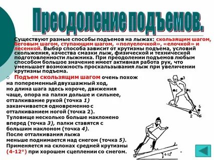 Шаги в лыжном спорте