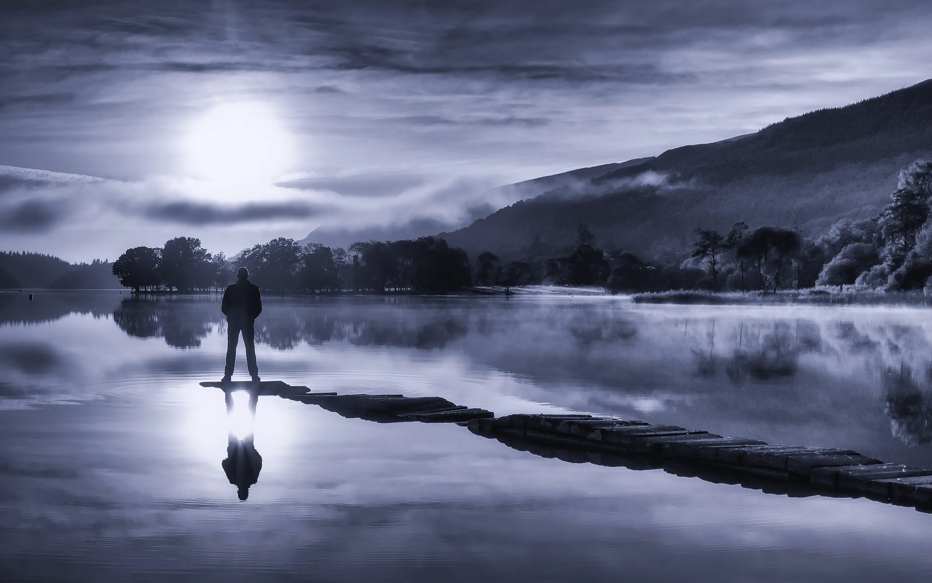 Сумерки природа. Спокойный пейзаж. Темное спокойствие. Синяя природа. Одиночество природа.