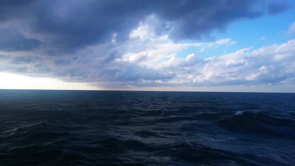 границы морей. горьковское море нижний новгород. слияние двух морей черного и азовского. дельфин баренцева моря. режим ветров каспий=ского моря.