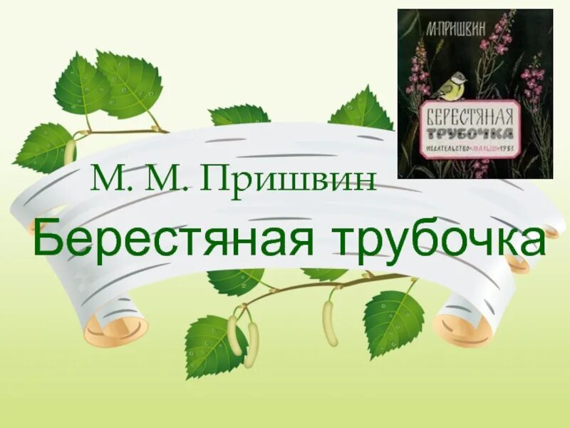 Я нашел удивительную берестяную трубочку. Пришвин берестяная трубочка иллюстрации к рассказу. Берестяная трубочка. Пришвин берестяная трубочка. М М пришвин берестяная трубочка.