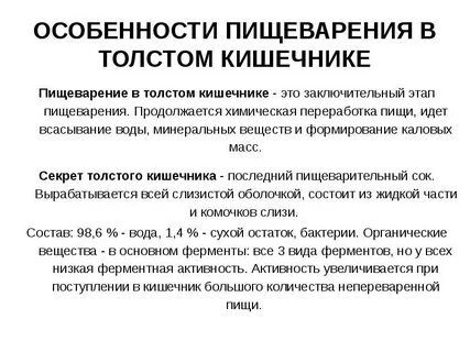Процессы пищеварения в тонком и толстом кишечнике
