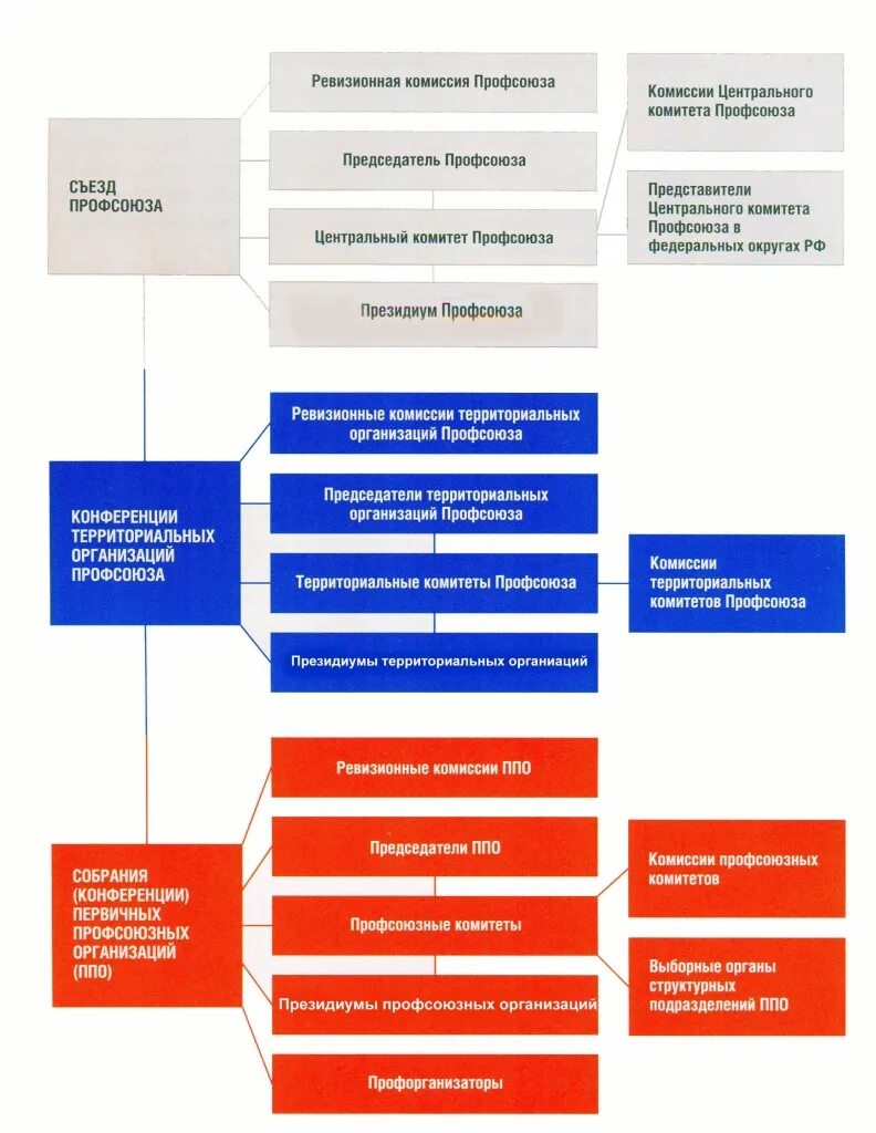 Организационная структура общероссийского профсоюза. Виды профсоюзных организаций. Направления деятельности профсоюза работников образования. Деятельность профсоюза функции. Исполнительный орган профсоюза.