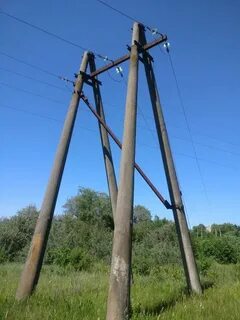 Лэп дерево