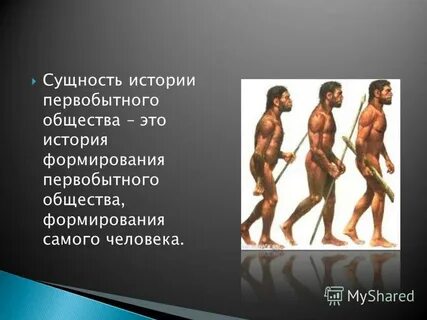 Почему в первобытном обществе не устанавливались налоги