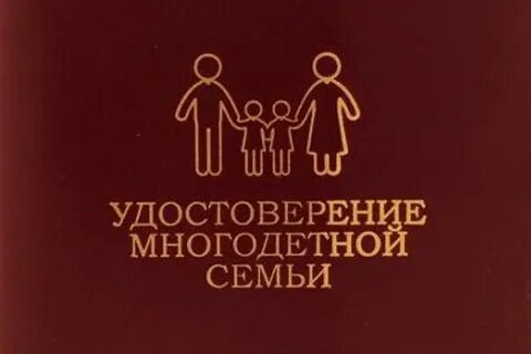 Статус многодетной семьи новый указ