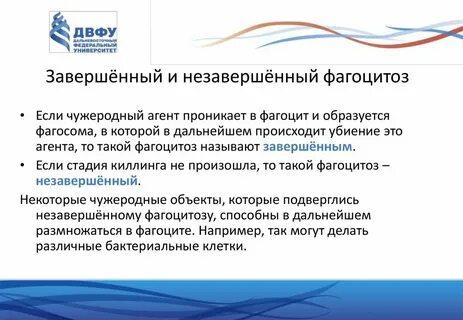 Не завершен
