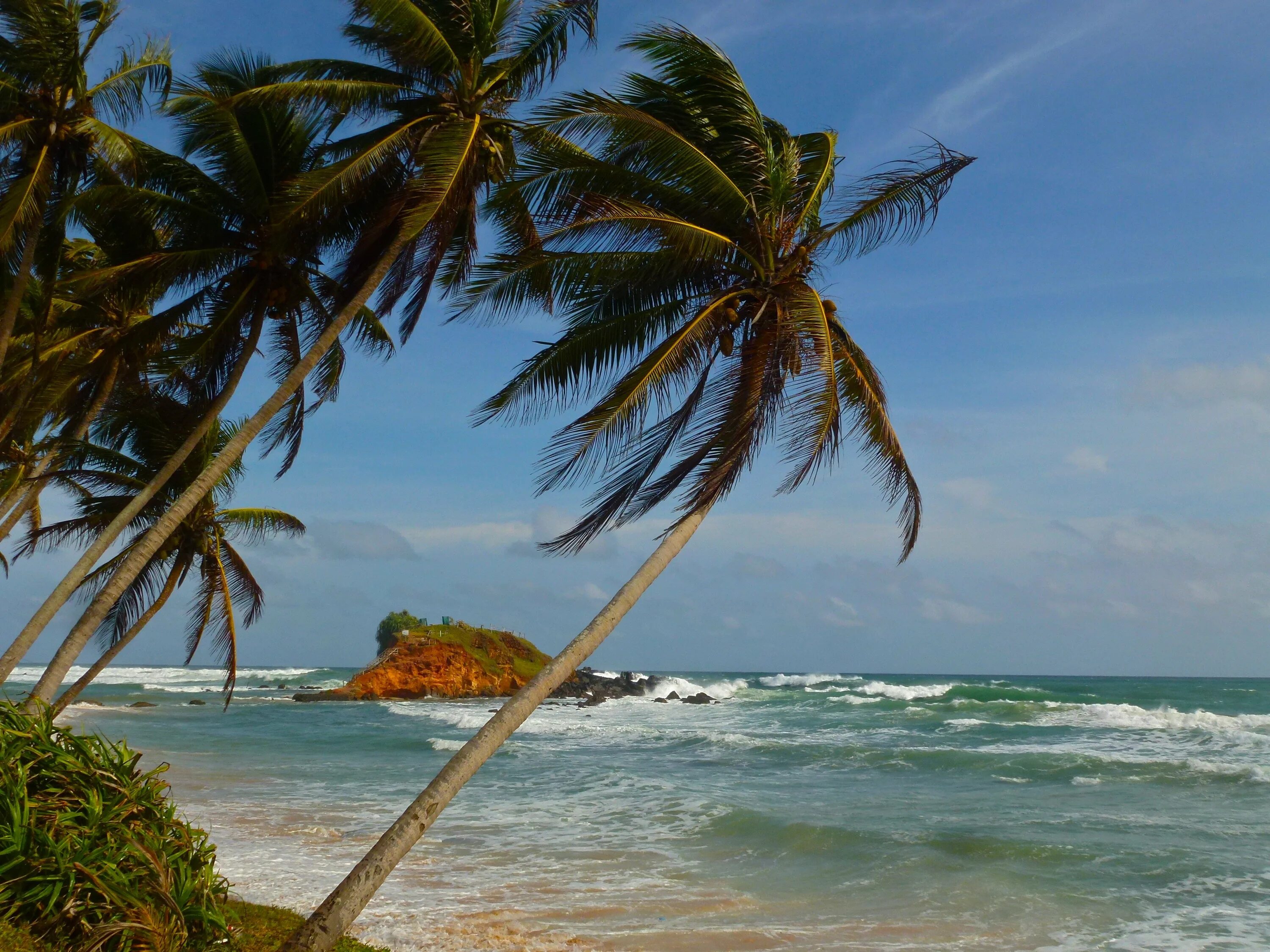 Остров Мирисса Шри-Ланка. Мирисса Шри Ланка. Parrot Rock Шри Ланка. Это остров Шри Ланка остров.