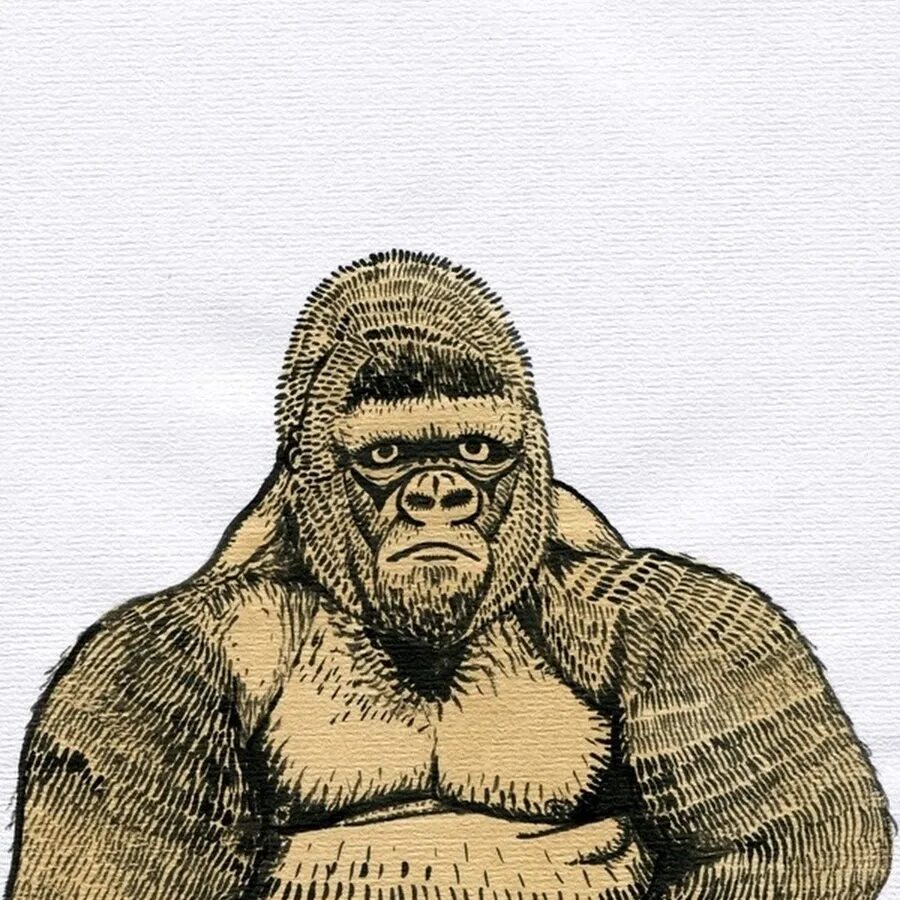 Горилла. Горилла арт. Горилла рисунок. Нарисовать гориллу. Зверобой горилла