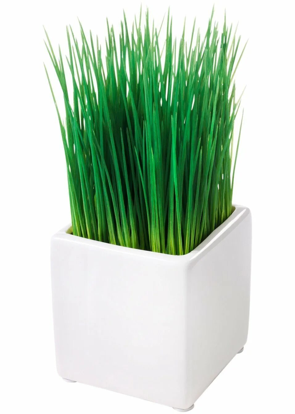 Кашпо икеа осока. Травка икеа. Искусственная трава в горшке. Кашпо икеа осока. Искусственная трава икеа.