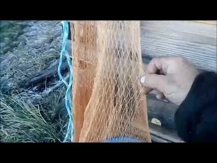 Ловля на кастинговую сеть видео