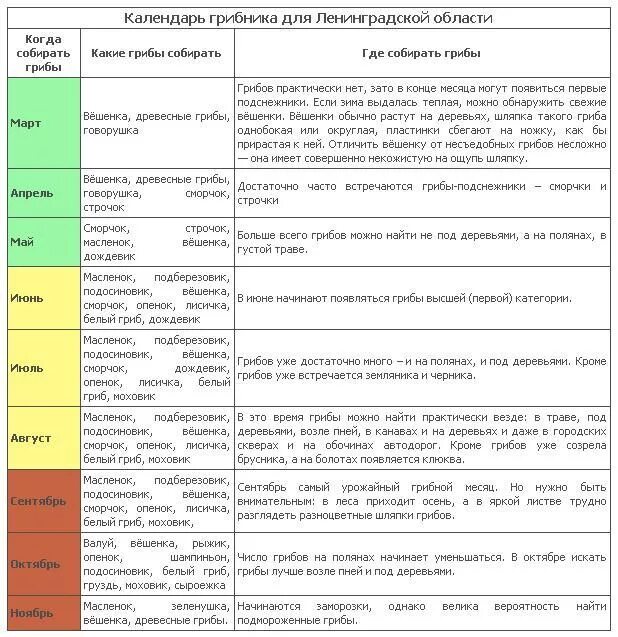В каком месяце можно собирать. Таблица сбора грибов по месяцам. Грибной календарь Ленинградской области. Календарь грибника средней полосы. Таблица роста грибов по месяцам.