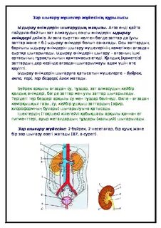 Секс порно шлюздер