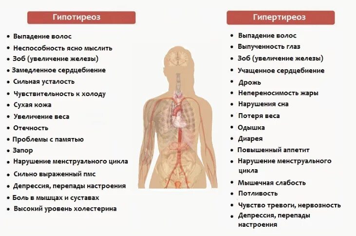 Гипотиреоз и гипертиреоз симптомы
