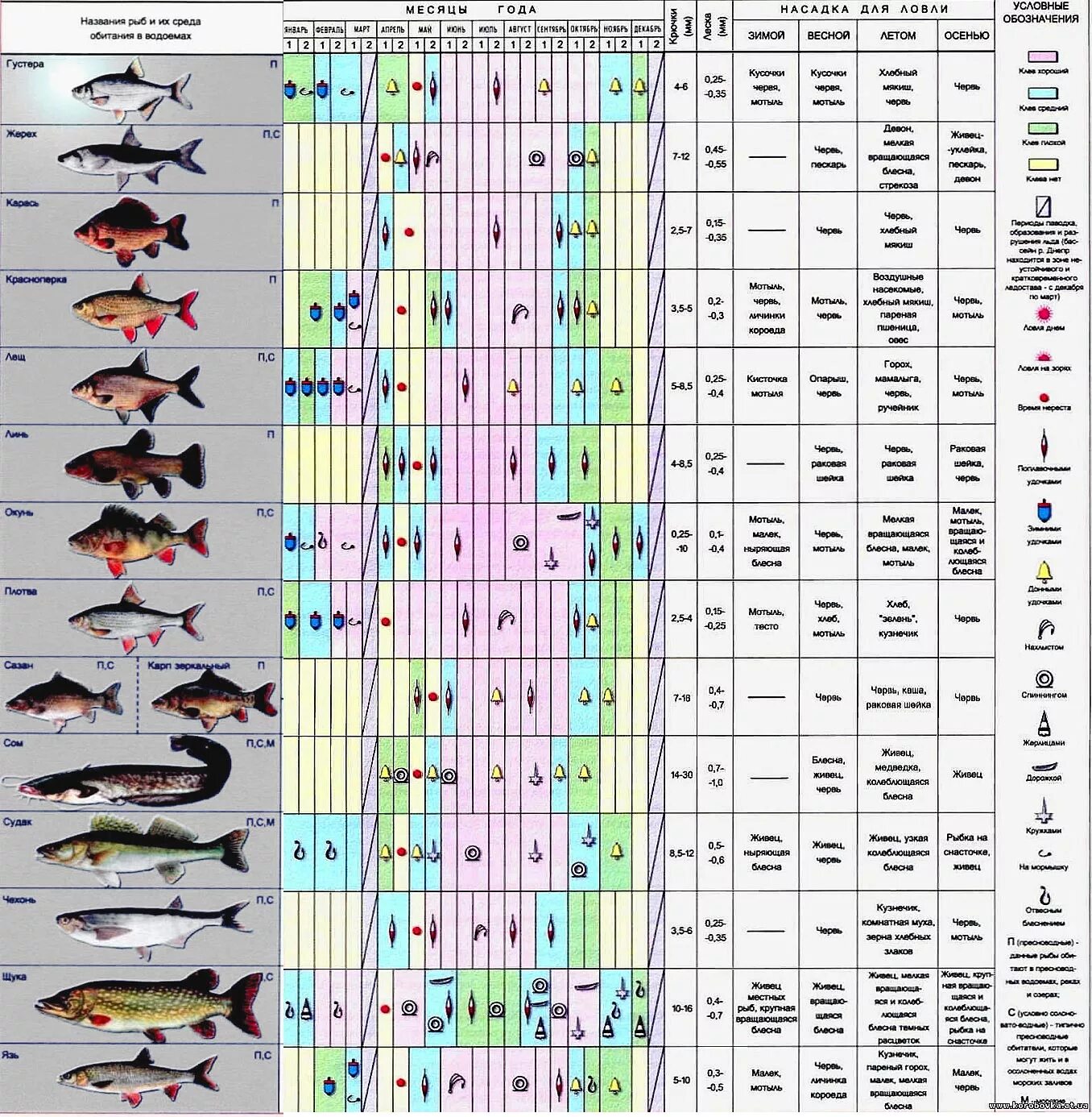 Период лова. Таблица рыболова. Таблица клева рыбы. Таблица для рыбаков. Календарь рыбалки.