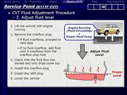 Fluid level
