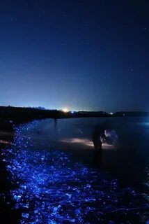 Слушать воду ночью
