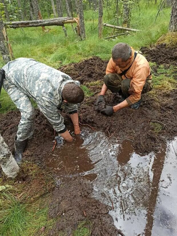 В карелии армейский. Останки солдат из болота. Эхо войны поисковый отряд Рузский.