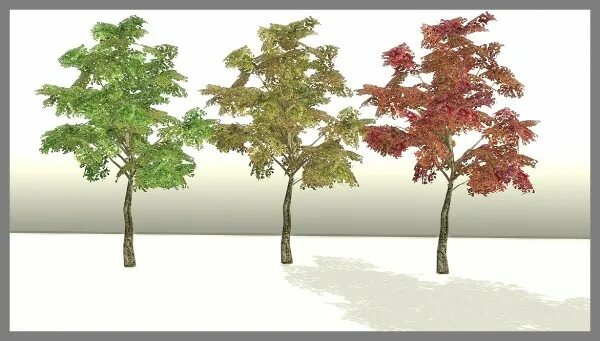 Sims 4 tree. Sims 4 денежное дерево. sims 4 береза. симс 4 эпичное дерево. оливковое дерево симс 4.