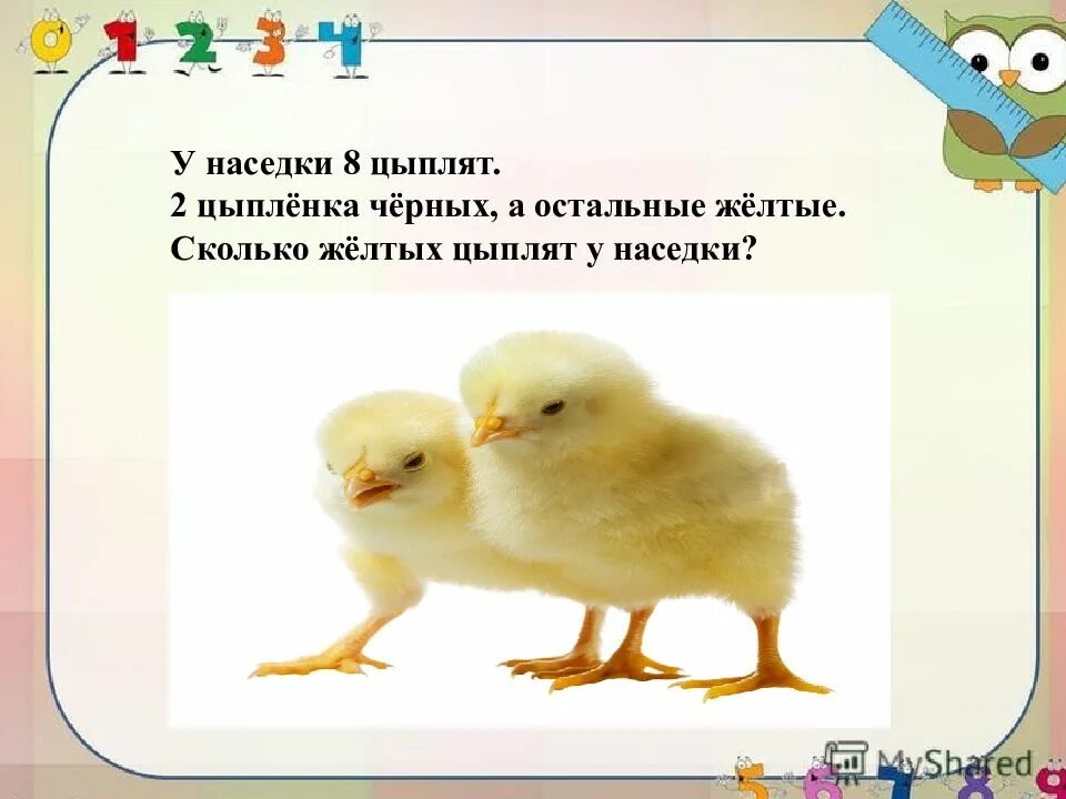 Время считать цыплят. Предложение про цыпленка. презентация на тему цыплята. сообщение о цыпленке. предложение со словом цыпленок.