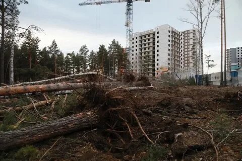 Строительство г лесной