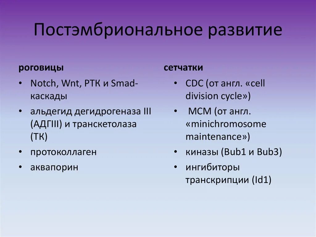 Постэмбриональное развитие. Периоды постэмбрионального развития. Этапы постэмбрионального развития человека. Характеристика постэмбрионального периода.