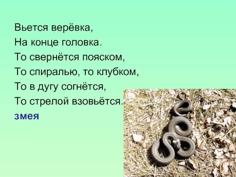 Сколько веревочке не виться 1