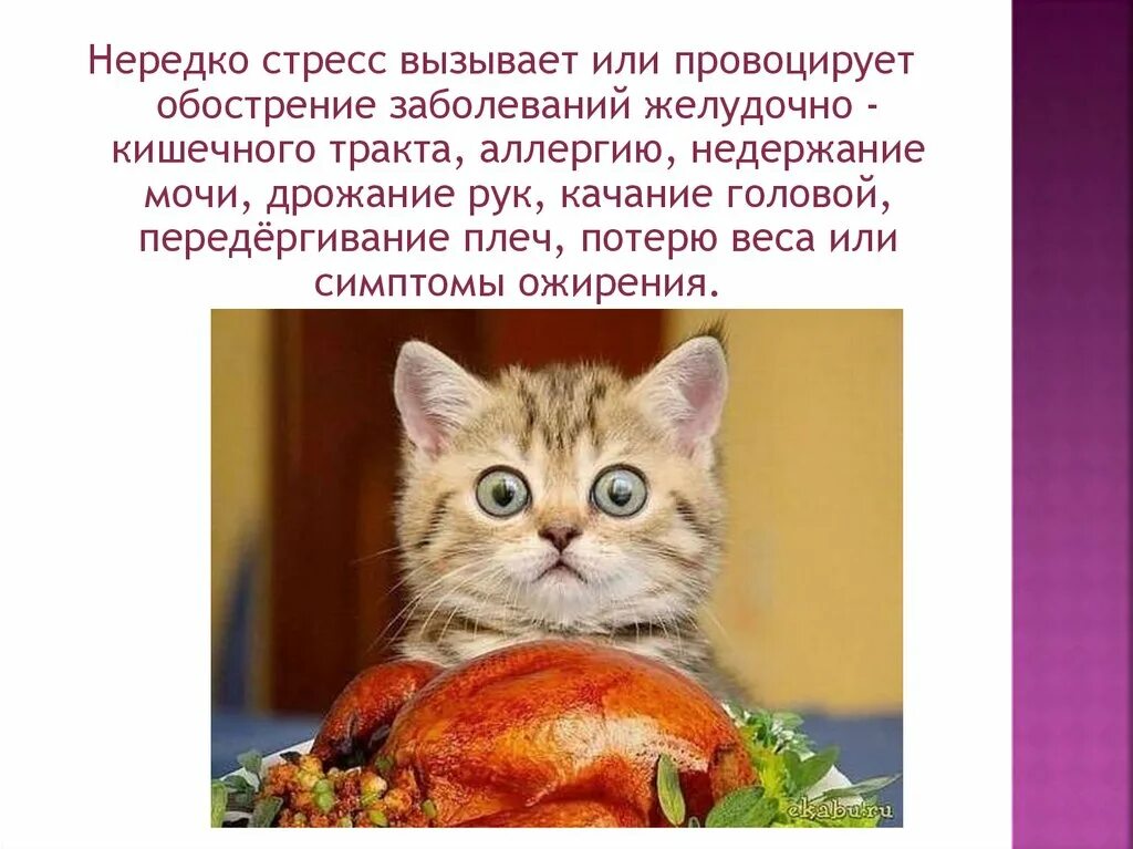 Вызовешь или вызовишь как правильно