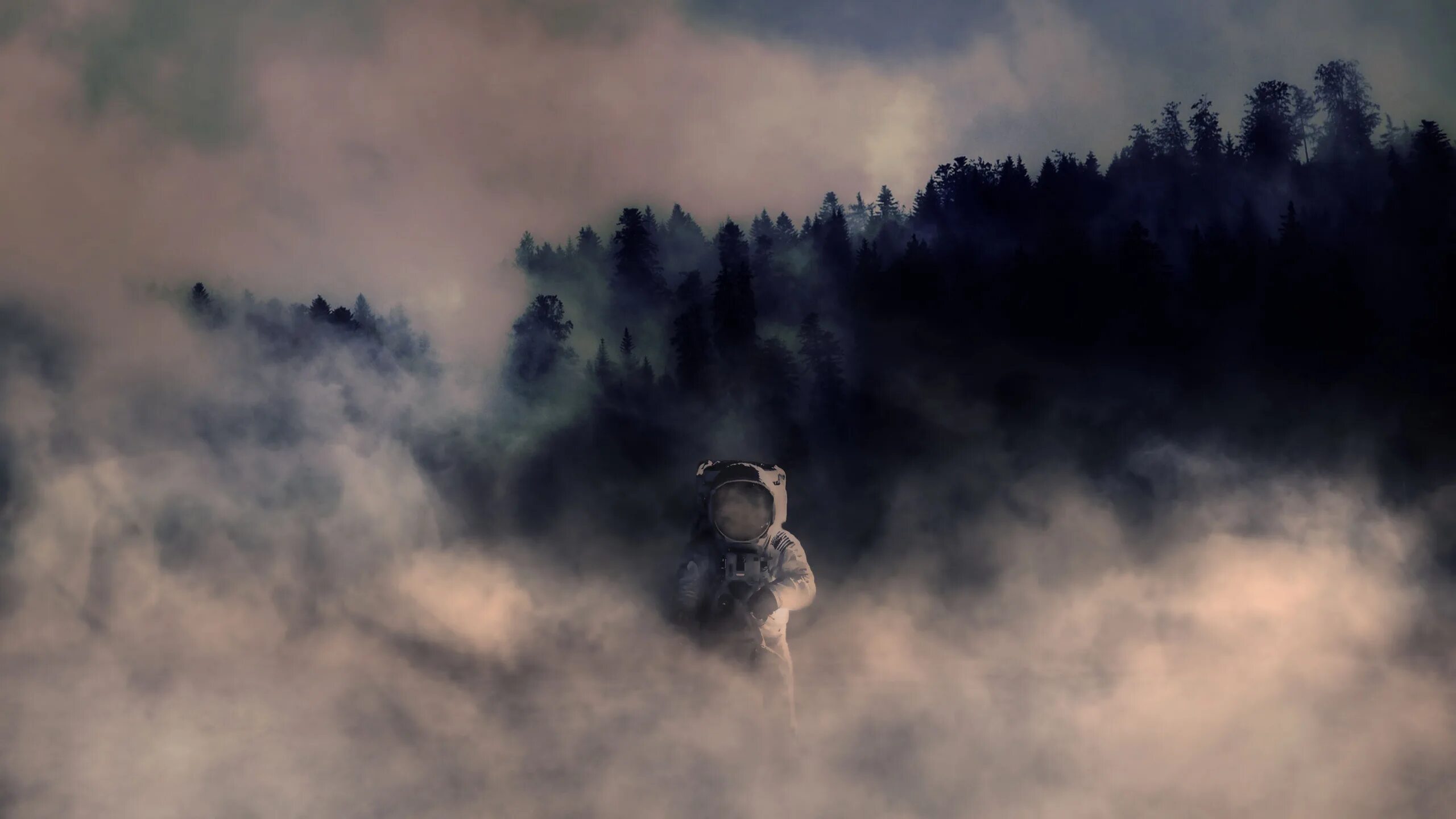 Пелена пыль. Фотосессия в тумане. Туманная дымка. Фон туман. Человек в тумане.