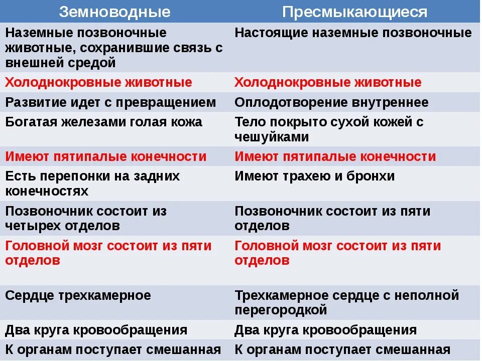Какие особенности строения отличают земноводных от рыб. Отличие пресмыкающихся от земноводных. чем отличаются пресмыкающиеся от земноводных. отличие земноводных от рептилий. земноводные и пресмыкающиеся отличия и сходства.
