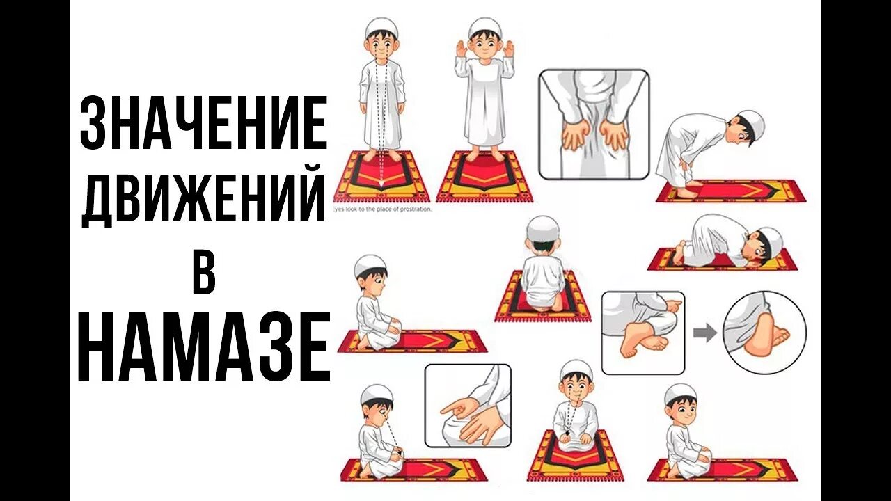 Картинки намаза для мужчин. Движения в намазе в картинках. Правильные движения в намазе. Движение намаза для мужчин. Движения намаза для женщин.