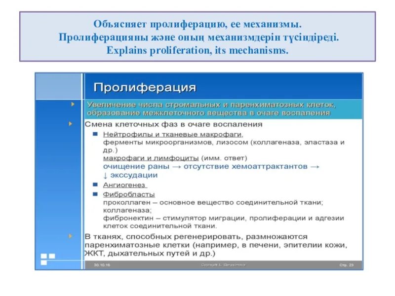 Типы пролиферации. Пролиферация механизм развития. механизмы процессов пролиферации. механизмы пролиферации при воспалении. механизмы пролиферации в очаге воспаления..
