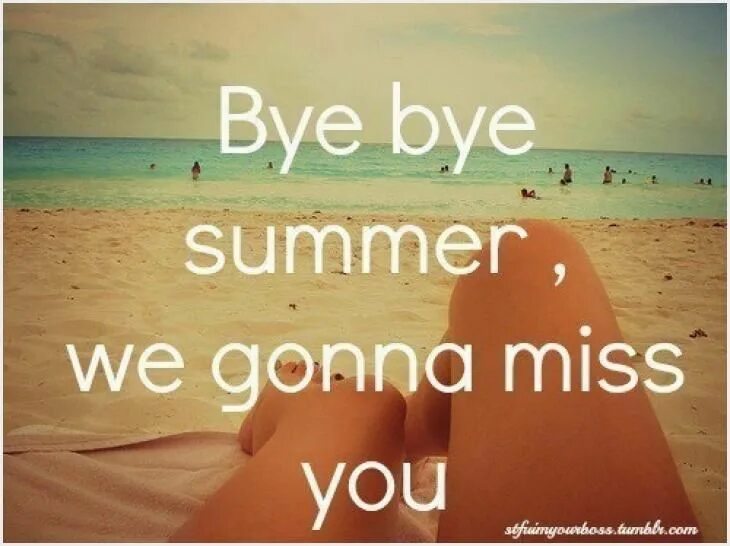 Summer domino for kids. I have summer. Every summer has a story перевод. Summer надпись. Happy summer.