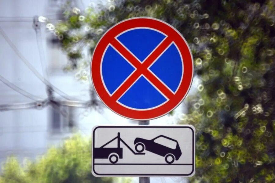 Как выглядит знак нельзя парковаться No Parking Permitted Sign 1 Sign in 2022 Shampoo recipe, Natural shampoo recip