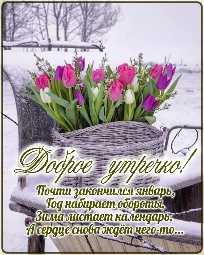 С последним вторником февраля доброе утро. Открытки с добрым февральским днем. открытки с добрым утром февраля.