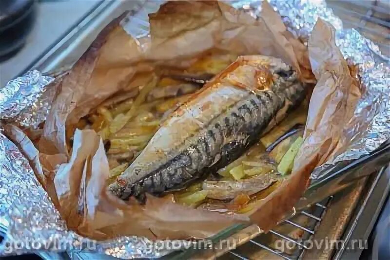 Как запечь скумбрию в духовке без фольги. Как запечь скумбрию в духовке без фольги