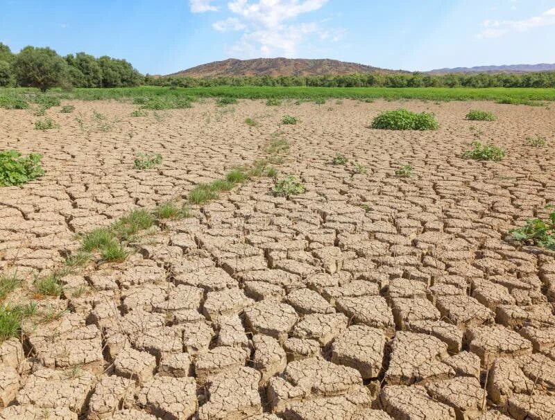 Водная и ветровая эрозия. Водная эрозия почв. Ирригационная эрозия. Эрозия плодородных почв. Эрозия плодородных почв.