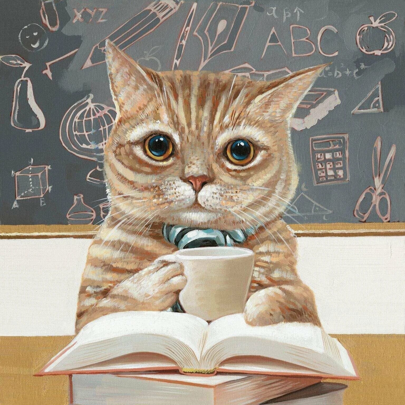 Кот учитель. Коты в школе. кошачья школа. кот ученик.