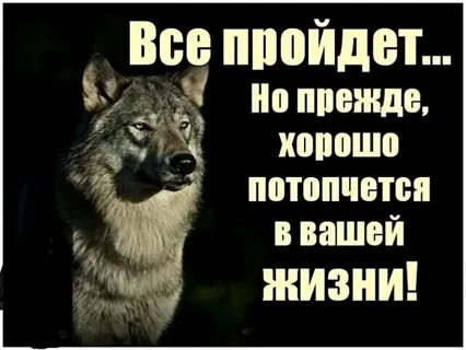 Годы проходят но