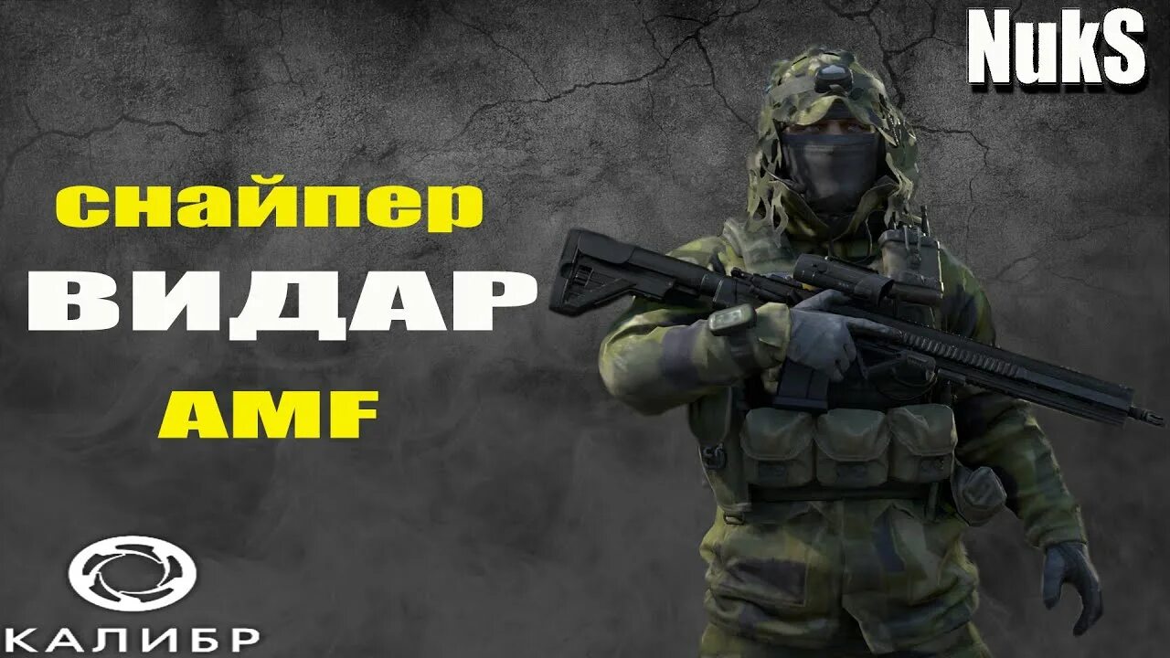 Видар имя. Vidar сау. Northgard клан ворона. Vidar gaming. Фош 155 блиц.