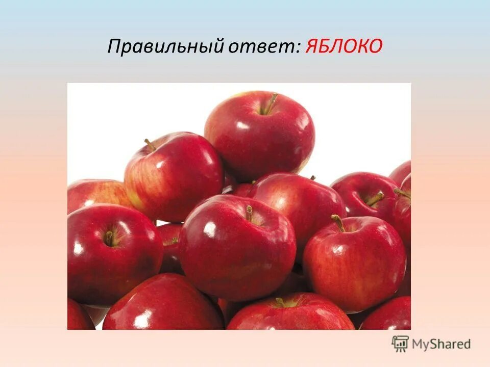 Стих про яблоню. Яблоко и ответ. Яблоко ответ 1. Детские загадки про яблоко. Яблоко ответ 1.