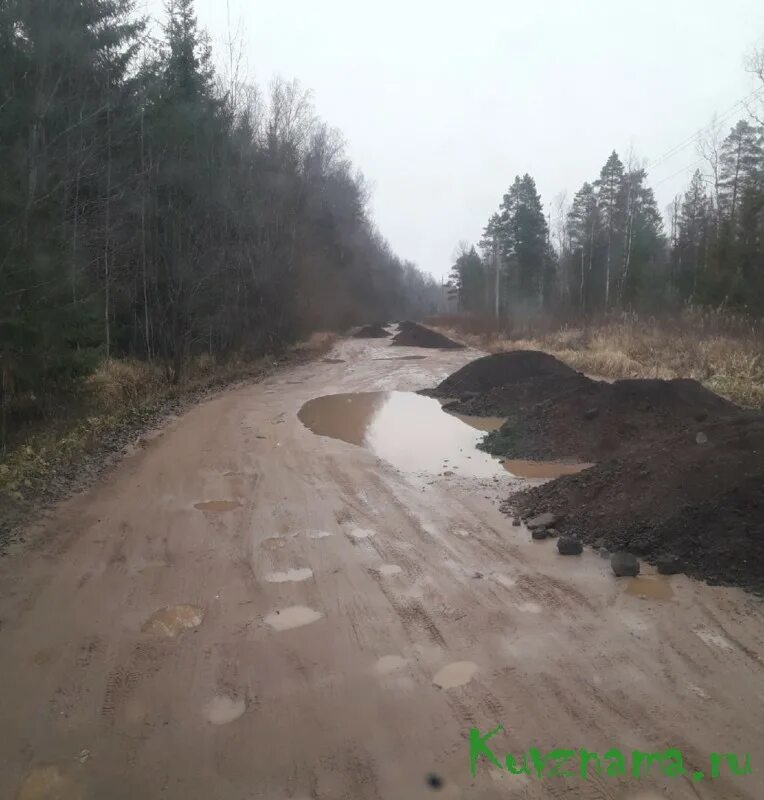 Дорога на васильково. Дорога на васильково. Дорога на васильково. Малое васильково калининградская область. Васильково калининградская область.