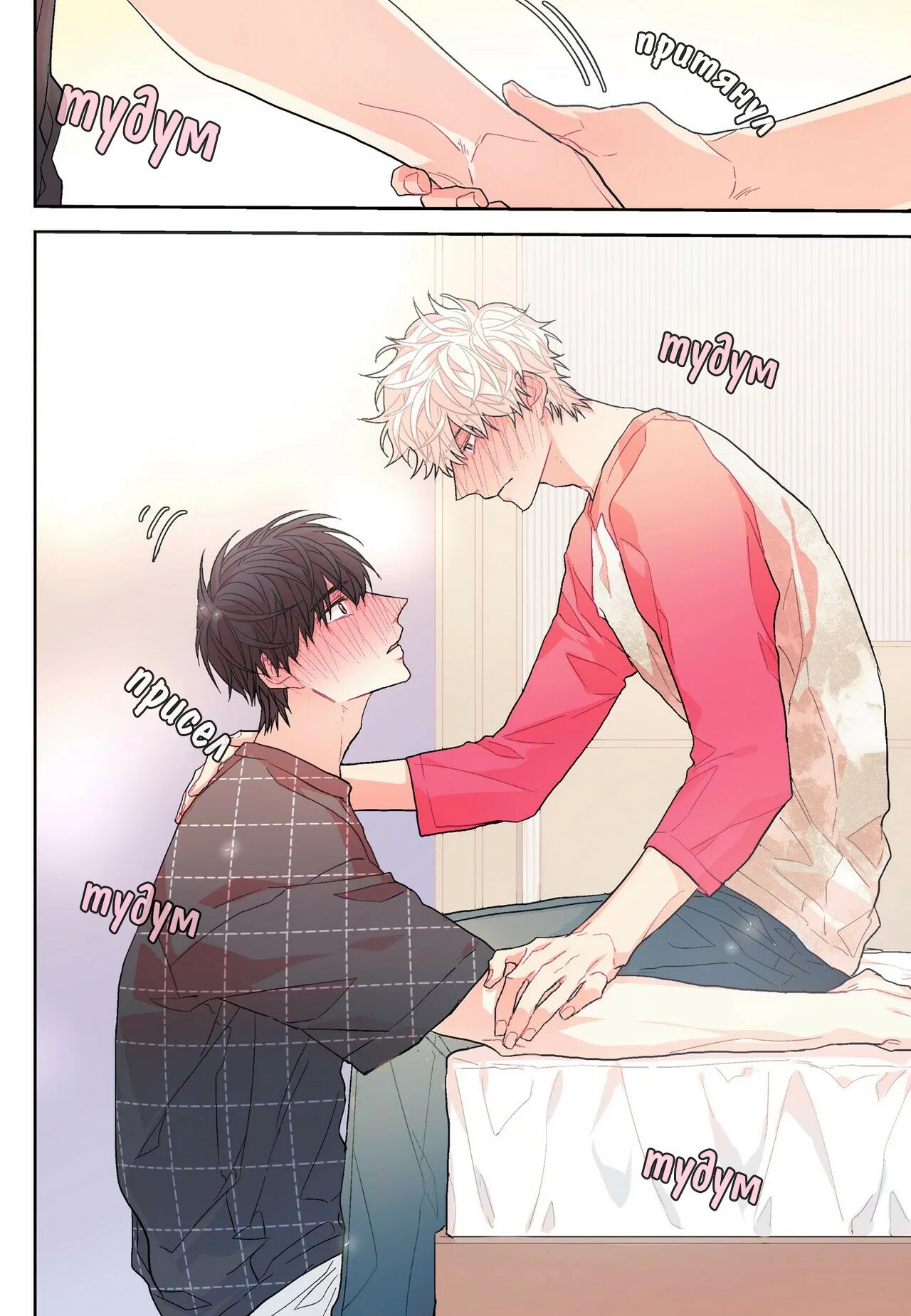 Красивые сладости. Французское печенье макаруны. Сладкий май фф. Манга маленькая жена. Сладкий парень манхва.