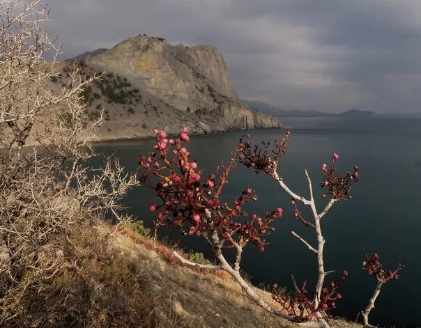 Крым в ноябре фото