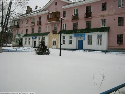 Пушкин канаш