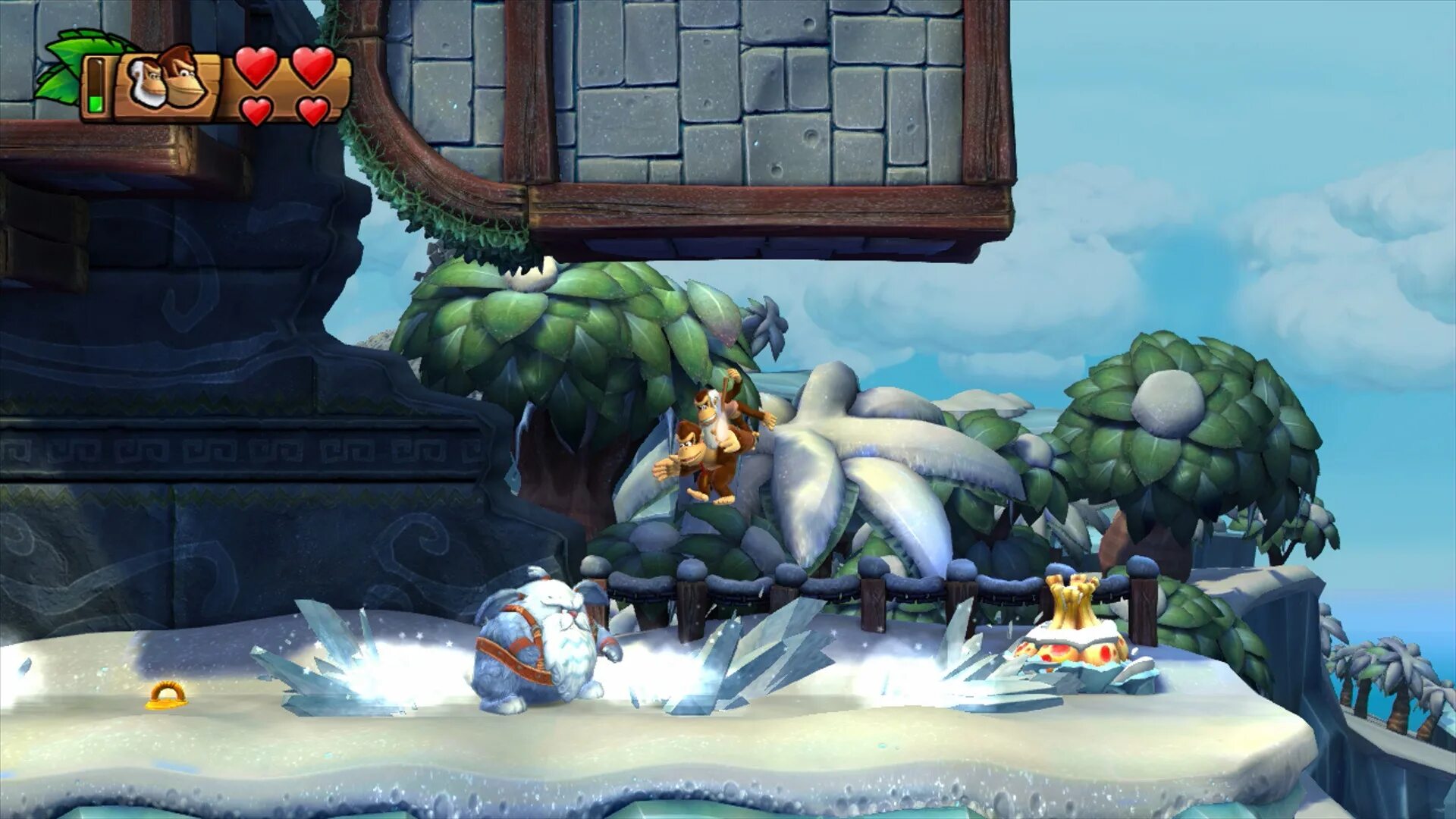 Donkey kong country freeze. Игра Donkey Kong Country. Игра Donkey Kong Country: Tropical Freeze. Donkey Kong Country Tropical Freeze Wii u. Игра для Switch Donkey Kong Country Tropical Freeze (английская версия).