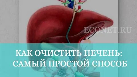 Чистить печень капельницами