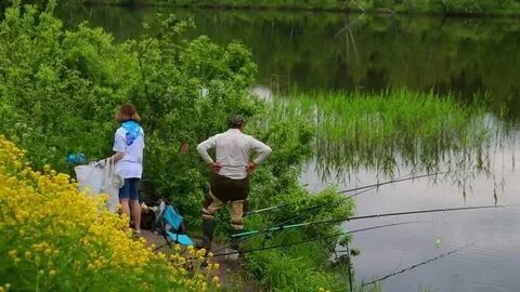 Канал берег