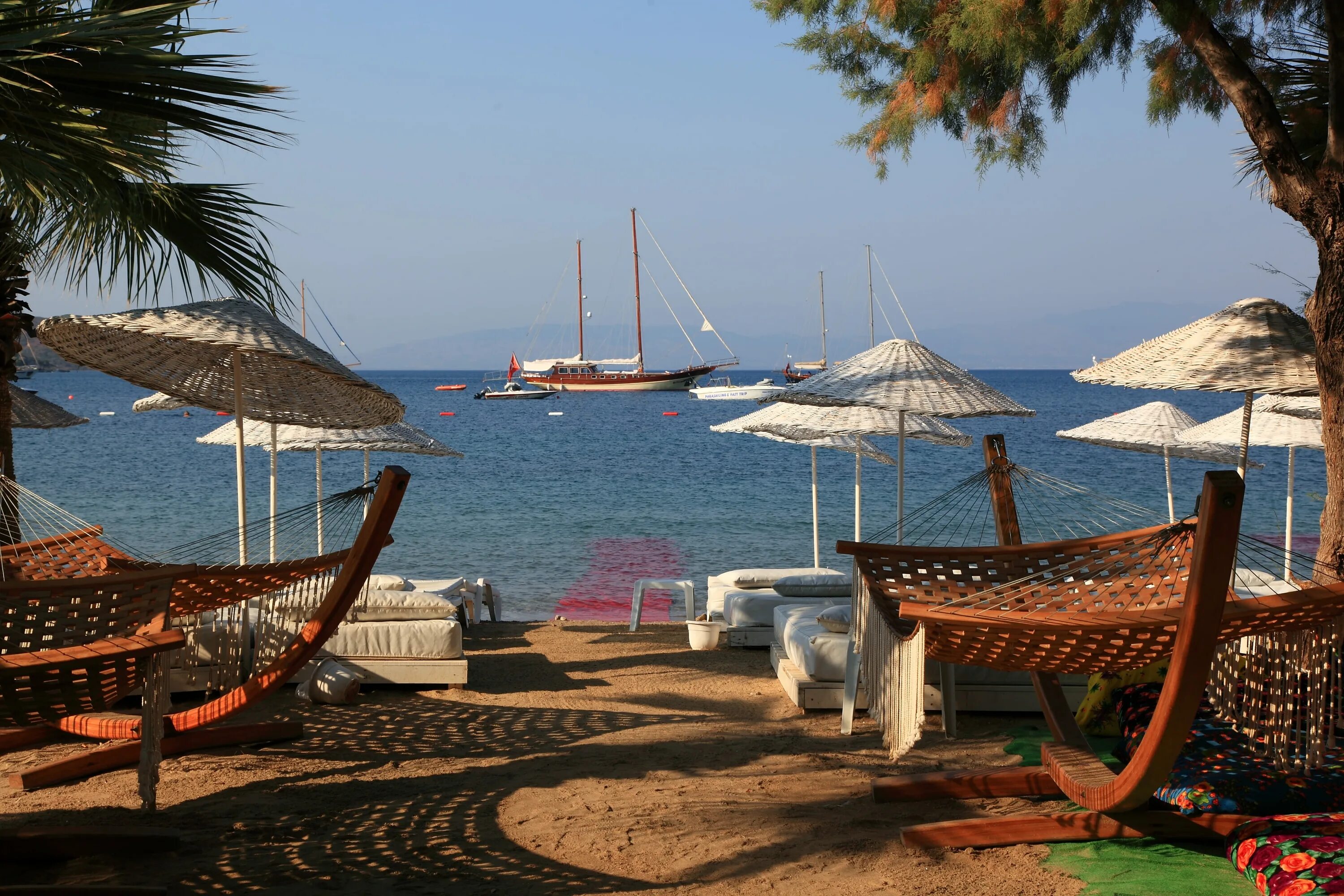 Окалиптус бодрум банк туров. Okaliptus hotel 4 турция бодрум фото. Sami beach hotel. Окалиптус бодрум. Bitez garden life 4 турция бодрум.