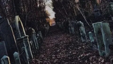 Что делает кладбище ночью